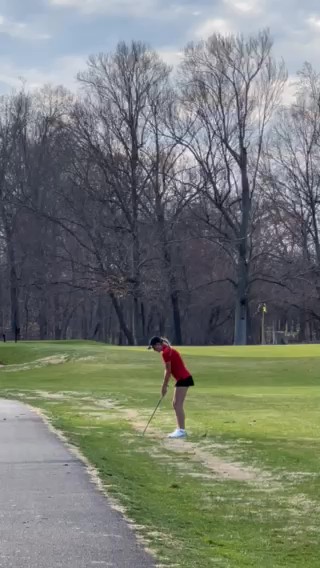 Wedge Video